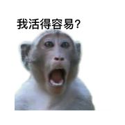 800零零