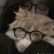 莫愁🖤