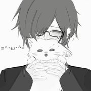 矢车菊