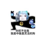 庞卜诅咒