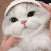 瑶光