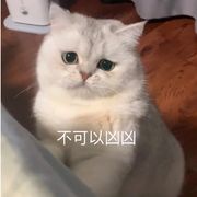 小羊小羊
