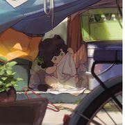 白茶