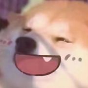 手机用户83240397