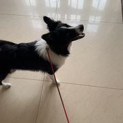 手机用户73592349