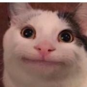 手机用户37882713