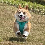 教练我想打职业