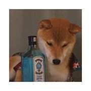 老于老登
