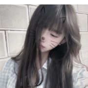 宅主系