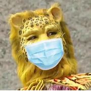 对视