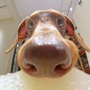 有点烦(ー_ー)!!