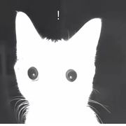 嘻嘻，辉烬真好玩