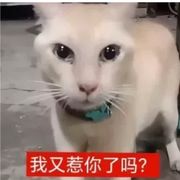 就打人の粉尸