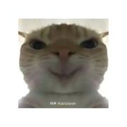 哥莫拉☆老六