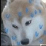 圆周率的尾数