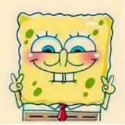 很短暂，很遗憾