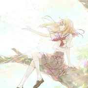 ༄༊࿆華鳥風月࿐