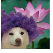 死んで行きたいです