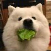 憨憨