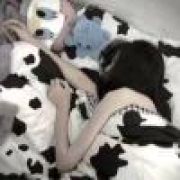 ♡̶不̶碰̶感̶情̶