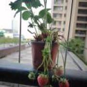 罗总有一个人的时候就可以了吗？