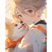 猫土的流浪者