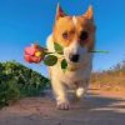 太原第三精神病院张院士