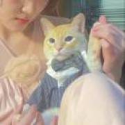 略略略