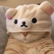 吴丹丹