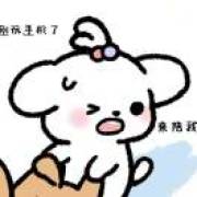偷养一只小猫