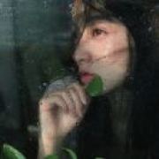 ゛🌿雾蔷十二时