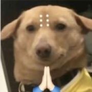 只见TA于寒风中