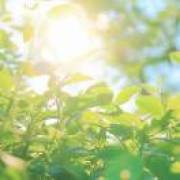 木木木火火火