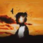 唐吉诃德·多弗朗