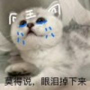 张诺尘