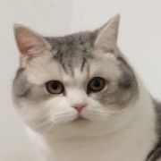 孤河