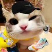 颢