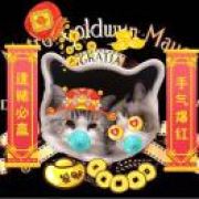 陈小Mo