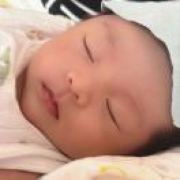 大河向东、刘先生