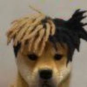 ꫛ℘℘ꫀꪄꪶ .