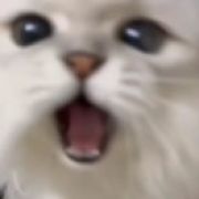 山月