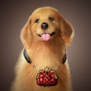 苏茜（狗官方）