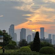 伍拾玖分的老王