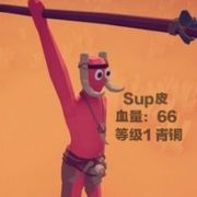 Sup皮