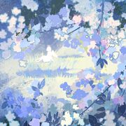 捡到一只小小白