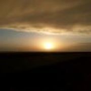 手游目前就是厕所里面花样的翔