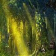 守着安静的沙漠等待花开