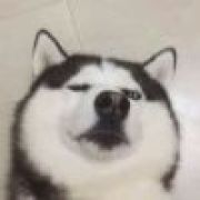 这是一个花里胡哨的名字