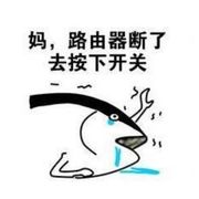 一条伪装成大佬的咸鱼