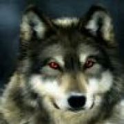 白天不懂夜的黑